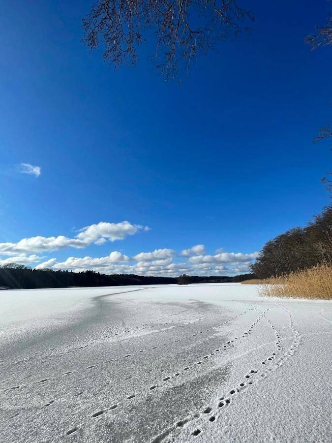 Ferienhaus für 6 Personen, mit Garten, mit Haustier in Neuruppin - 4