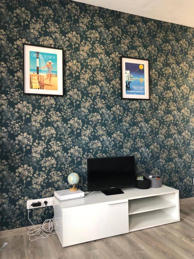 Appartement entier, One-Bedroom Apartment in Thairé, Région de La Rochelle