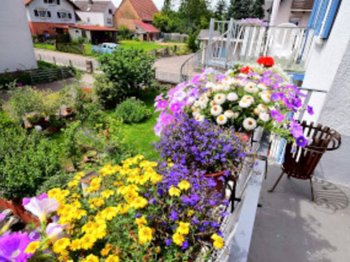 Ganze Ferienwohnung, Ferienwohnung Heitzler - Ferienwohnung 75qm, 2 Schlafräume, max. 7 Personen in Europa-Park, Kappel-Grafenhausen