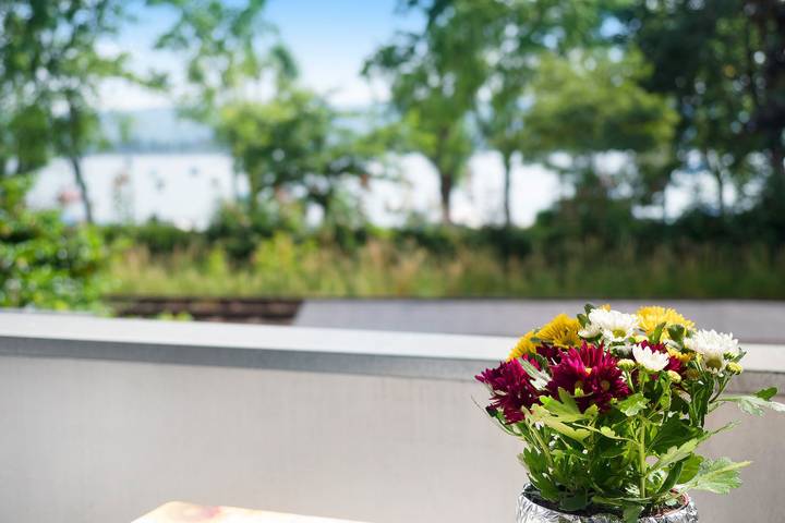 Ganze Wohnung, Zentrale Ferienwohnung "Gnadenseeblick" am Bodensee mit Blick auf den See und die Berge in Allensbach, Untersee