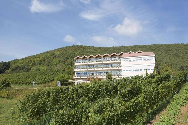 Ferienhaus für 2 Personen, mit Terrasse, mit Haustier in Sankt Martin - 4