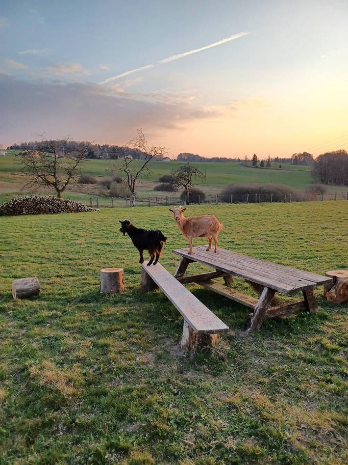 Location de vacances pour 4 personnes, avec jardin à Le Val-d'Ajol - 2