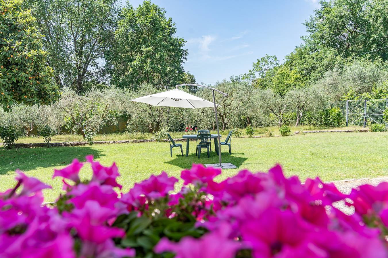 Apartamento entero, Sundara Apartment in Colle di Val d'Elsa, Provincia de Siena