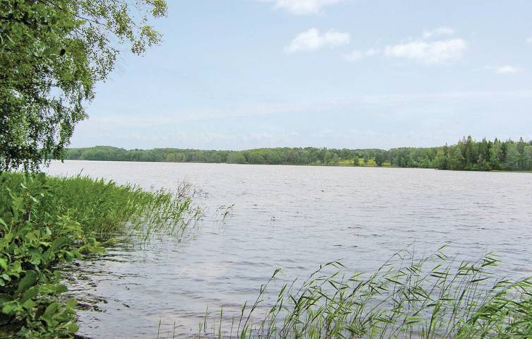 Ferienhaus für 4 Personen, mit Garten und Terrasse, mit Haustier in Smaland - 3