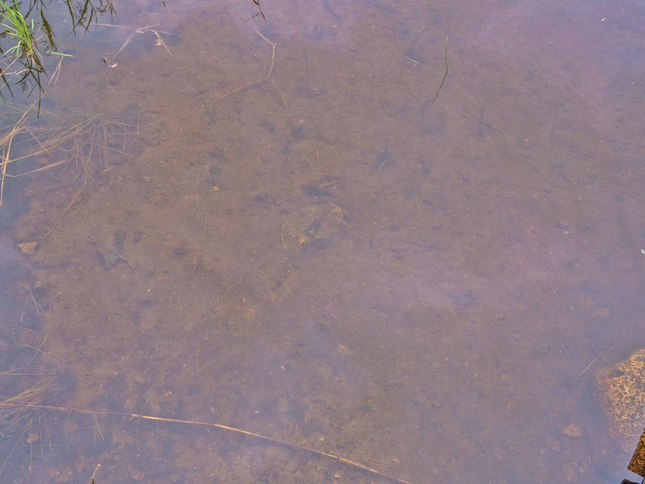 Mäntyrinne in Juva, Südsavo