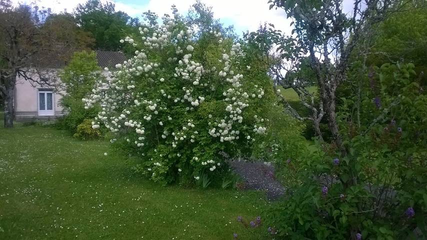 Gîte pour 6 personnes, avec jardin, animaux acceptés dans Parc naturel régional Périgord-Limousin - 2