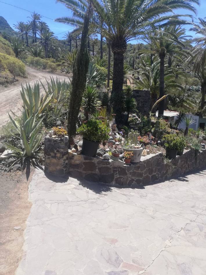 Ferienhaus für 3 Personen, mit Garten, kinderfreundlich auf La Gomera - 4