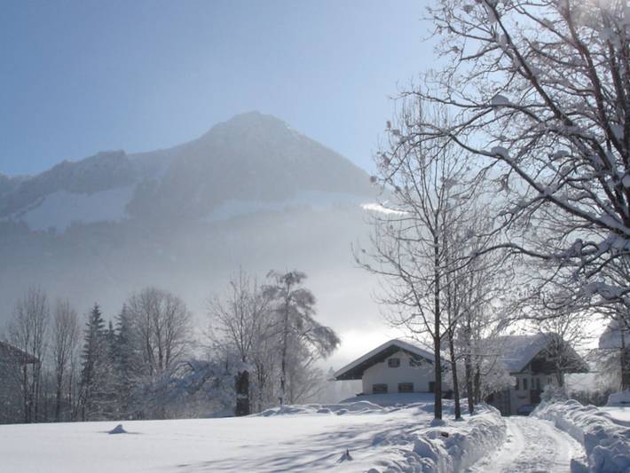 Ganze Ferienwohnung, Fewo Alpenhof Punzenlehen - Ferienwohnung Nr. 3, 1-2 Personen, 50 qm in Schönau am Königssee, Berchtesgadener Alpen
