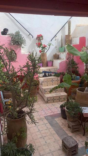 Cottage pour 3 personnes, avec terrasse et vue à Sidi Ifni