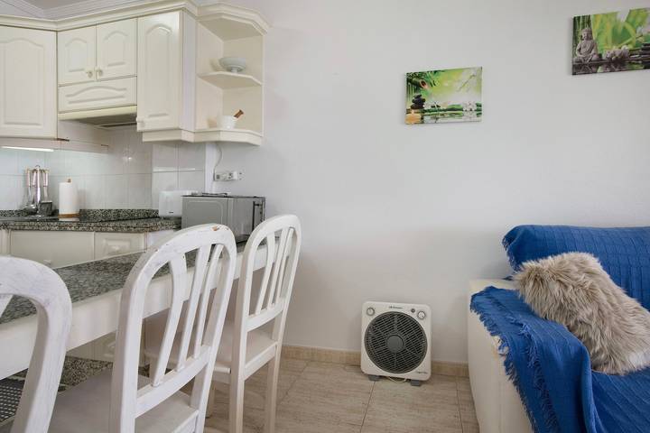 Entire apartment, Vacation 'Ceyla' with Sea View, Private Terrace and Wi-Fi in Playa de las Américas, Arona