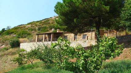 Agriturismo per 7 Persone in Cetraro, Provincia di Cosenza, Foto 4
