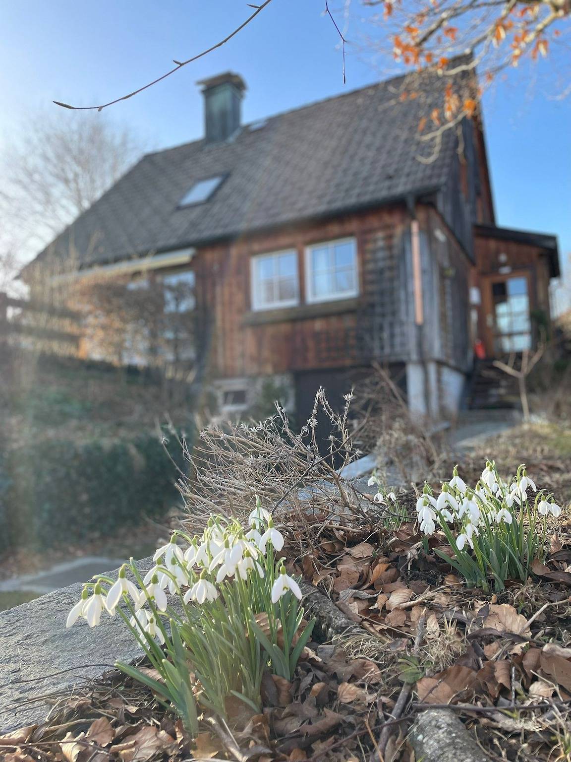 Ferienhaus Götz in Bernau im Schwarzwald, Südschwarzwald