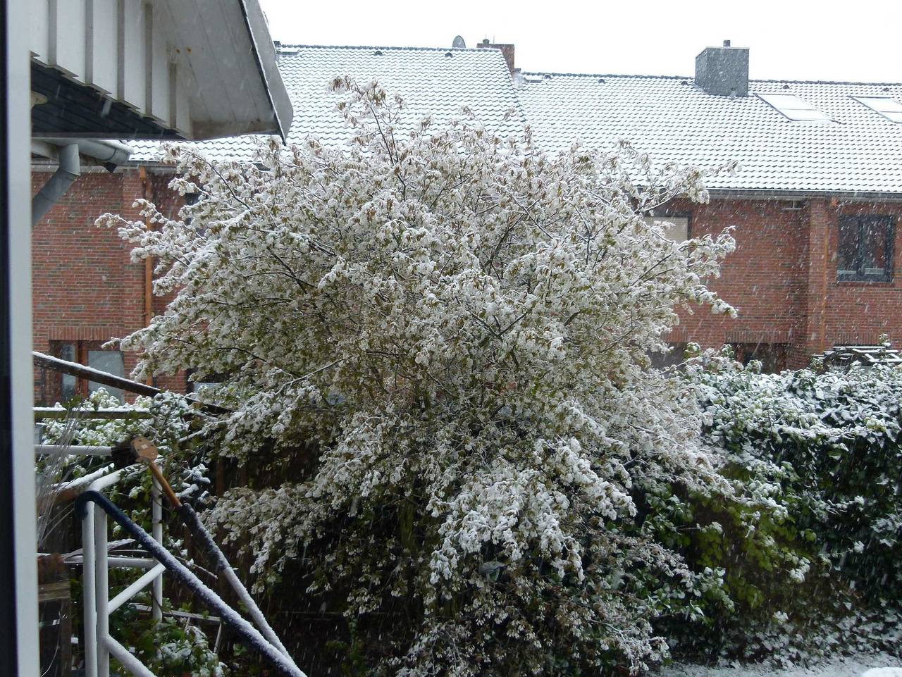 Ganze Ferienwohnung, Fabys Ferienwohnung - Fabys Ferienwohnung in Twielenfleth, Hollern-Twielenfleth
