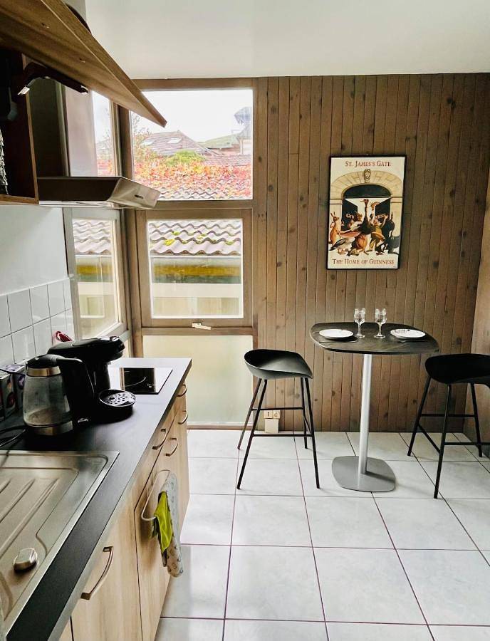Appartement entier, Joli T1 Chez Doudou plein centre-ville au calme, vue jardin in Rambervillers, Région d'Épinal