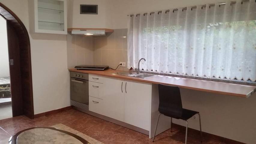 Location de vacances pour 5 personnes, avec jardin et vue ainsi que piscine et vue sur le lac, animaux acceptés dans Oliveira de Azeméis - 4