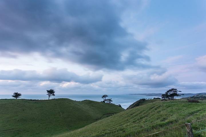 Holiday home for 8 people, with terrace and garden, with pets in Raglan
