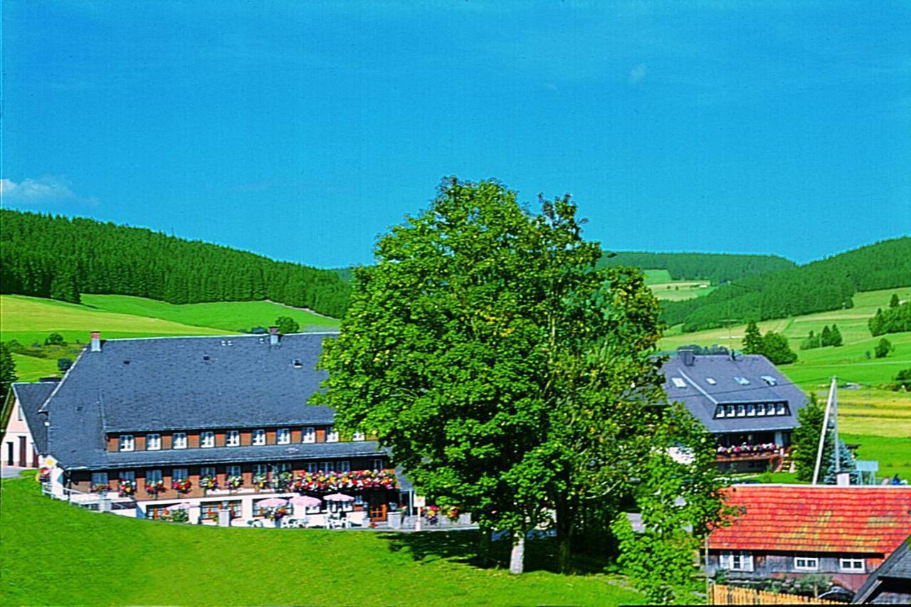 Hotel Zum Löwen - Unteres Wirtshaus in Langenordnach (Titisee-Neustadt), Titisee-Neustadt