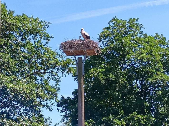 Bauernhof für 3 Personen, mit Garten und Terrasse an der Ostsee - 2
