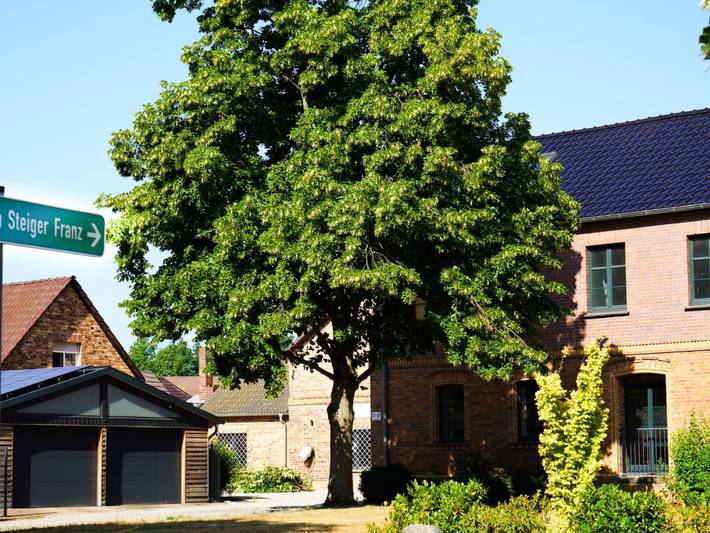 Ferienwohnung, mit Balkon und Garten in Senftenberg - 2