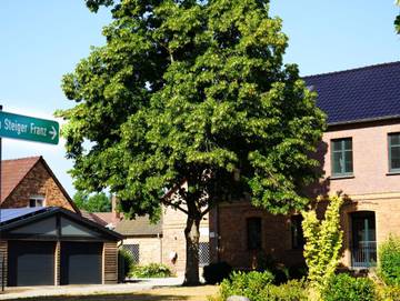 Ferienwohnung für 4 Personen in Senftenberg, Lausitzer Seenland, Bild 1