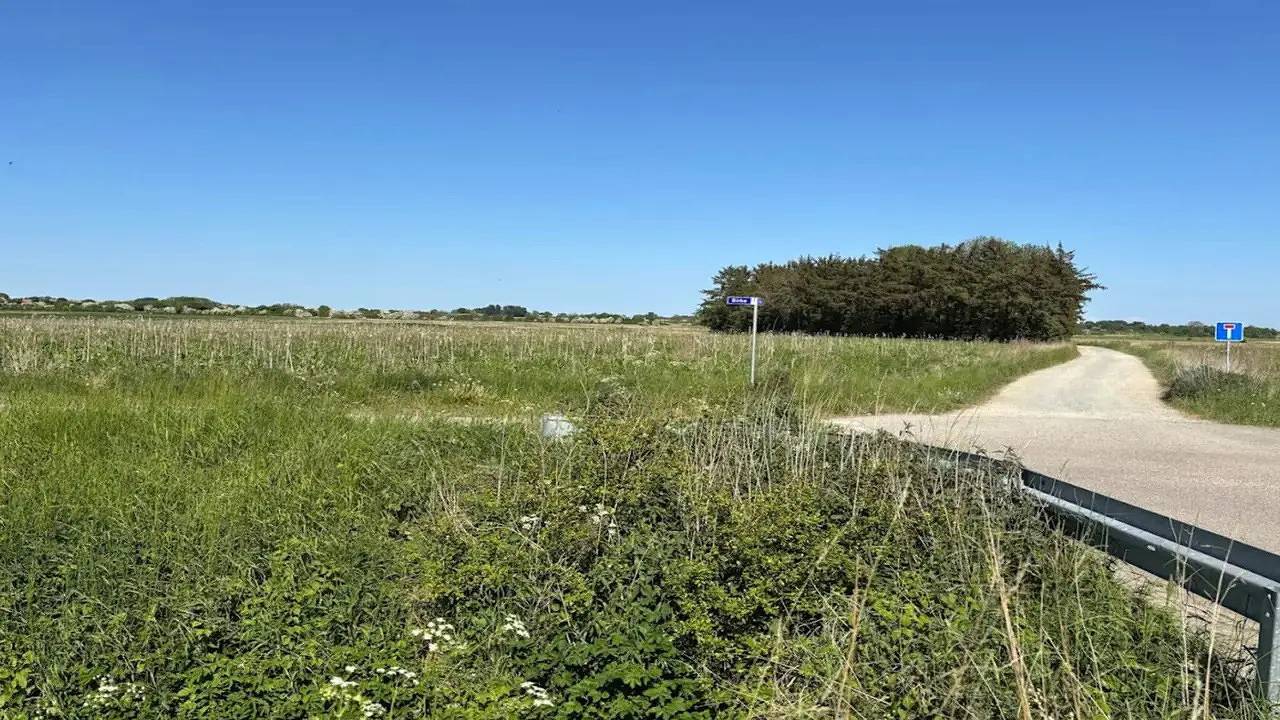 Ferienhaus für 3 Personen (43 m²) in Alsen in Sydals, Skovmose
