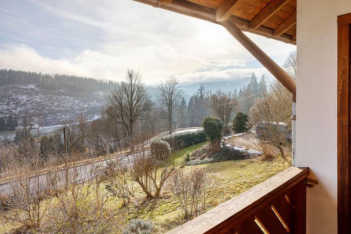 Gîte pour 6 personnes, avec balcon et jardin, animaux acceptés à Feldberg - 2