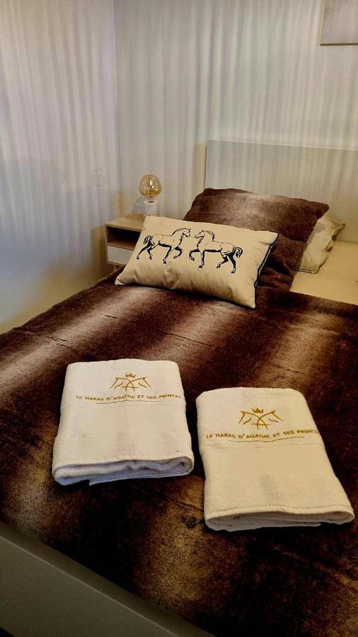 Chambre d’hôte pour 2 personnes, avec sauna et vue sur le lac ainsi que vue et jardin, animaux acceptés dans l' Eure - 4