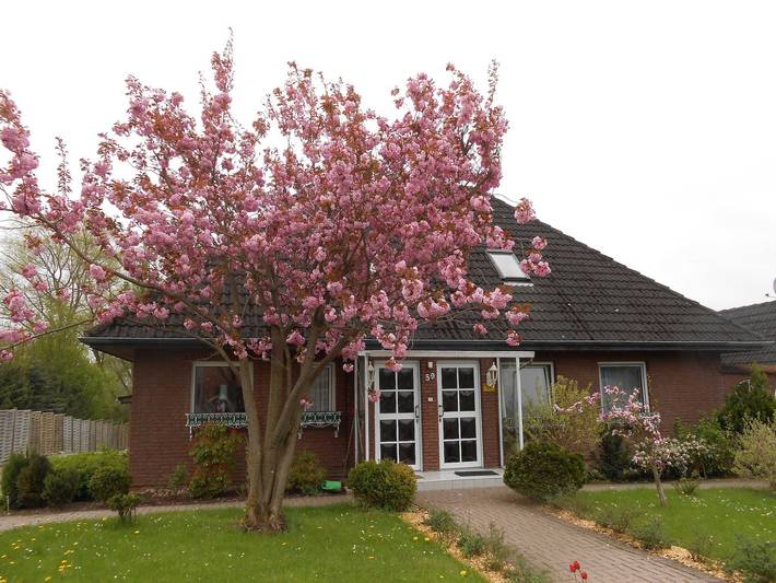 Ferienwohnung für 4 Personen, mit Terrasse und Garten in Scharbeutz