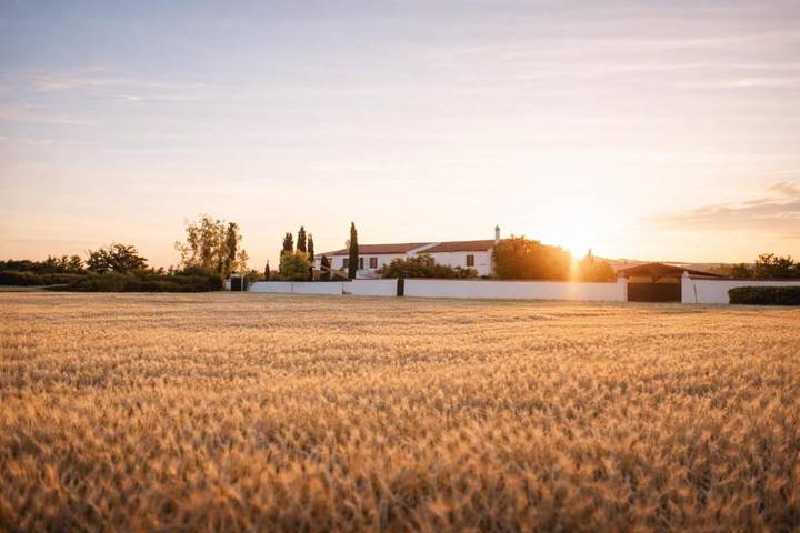 Casa rural para 4 personas, con jardín además de piscina y vistas, Se admiten mascotas en La Alcarria - 4