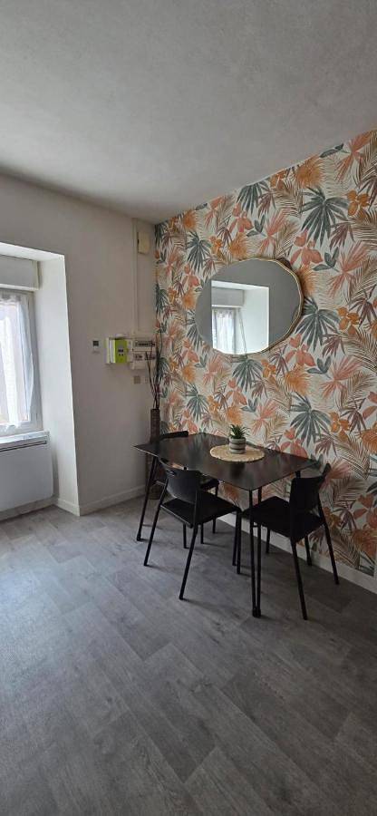 Appartement entier, T2 Meublé, Équipé, Parfait pour Vos Séjours in Châteaumeillant, Saint-Amand-Montrond