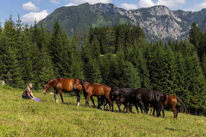Biohof Herdengl - Ferienwohnung 1 (100qm) mit 3 Schlafräumen und großer Wohnküche in Lunz am See, Mostviertel