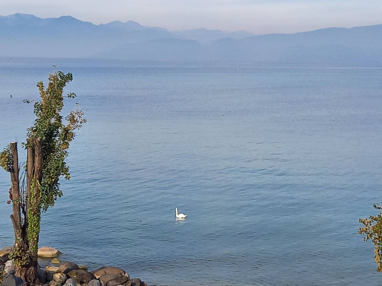 Ganze Wohnung, Fewo in San Benedetto (Peschiera del Garda), Peschiera del Garda