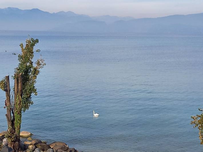 Ferienwohnung für 4 Personen, mit Terrasse und Garten sowie Seeblick in Peschiera del Garda - 4
