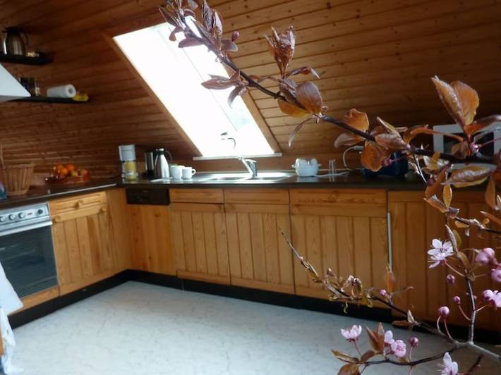 Ferienhaus für 5 Personen, mit Terrasse und Garten in Westermarkelsdorf - 4