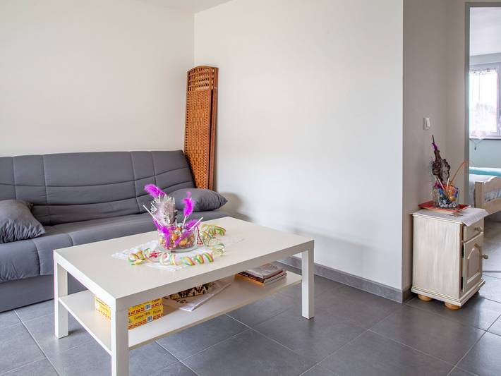 Location de vacances pour 10 personnes, avec jardin, adapté aux familles dans Sarrebourg - 3