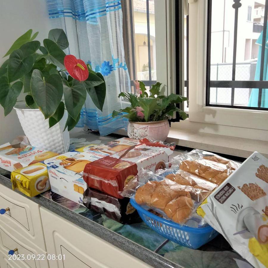 Alfi beb in Teramo, Provincia di Teramo