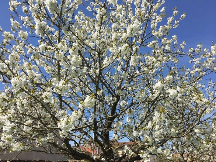 Chambre d’hôte pour 2 personnes, avec jardin dans Parc national de forêts - 2
