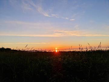 Ferieudlejning til 10 Personer i Vedersø Klit, Vesterhavet, Billede 3