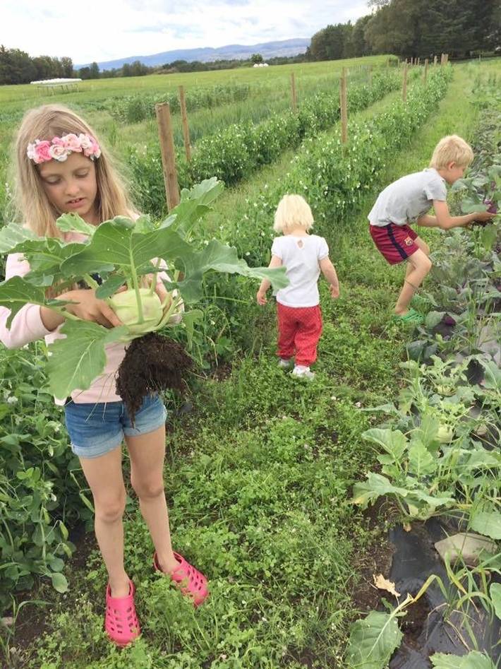Ferienhaus für 16 Personen, mit Garten und Ausblick, kinderfreundlich in Ørland - 4