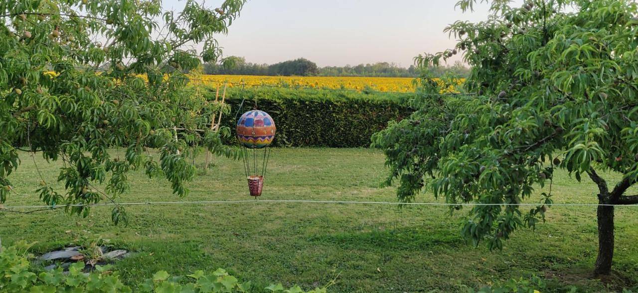 Les Gaudouines in Mazé (Maine-et-Loire), Vallée de la Loire