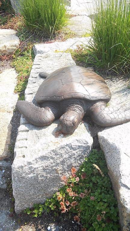 Hausboot in Boston Harbor Wifi A / C / Heat Lassen Sie sich einschlafen in Boston, Massachusetts