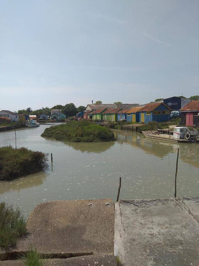 Chambre d’hôte pour 4 personnes, avec vue ainsi que piscine et jardin sur l' Île d'Oléron - 4