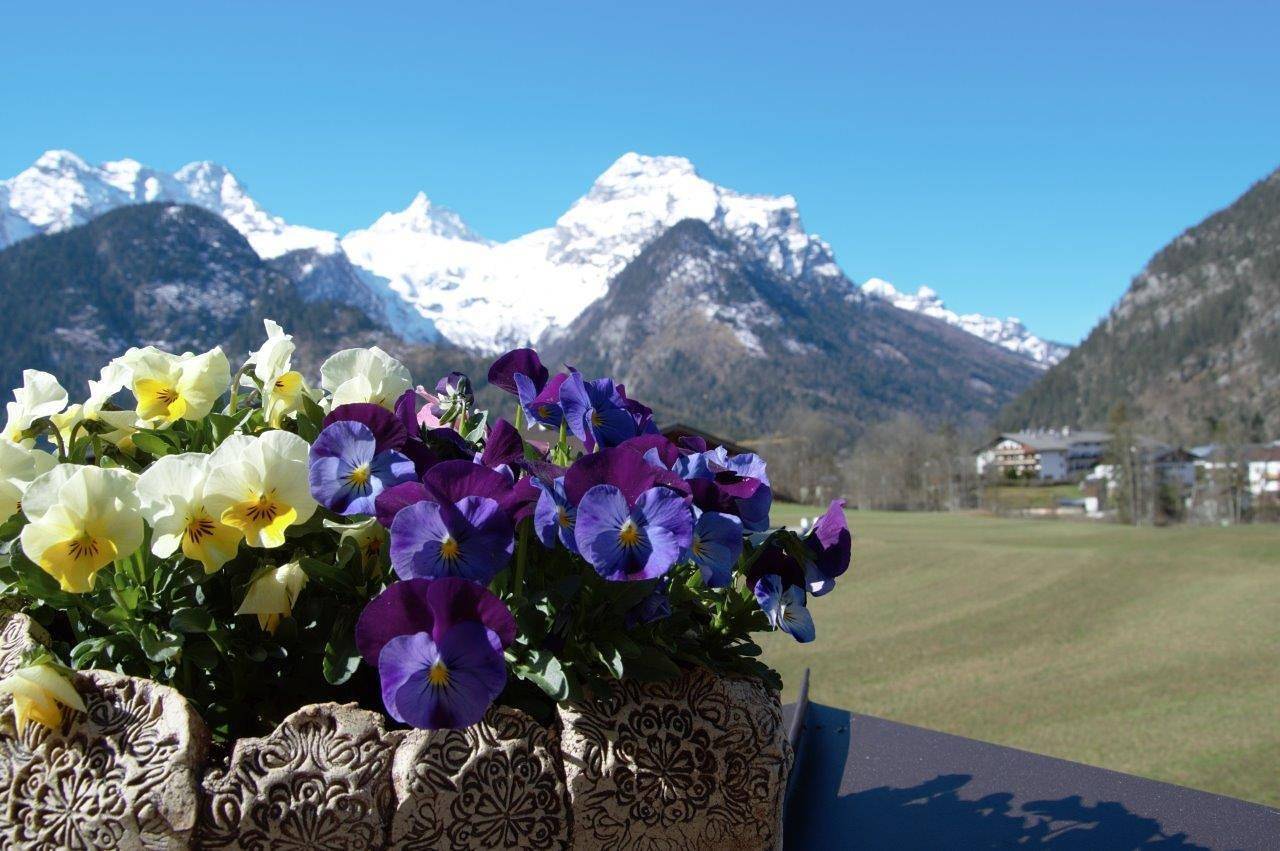 Ganze Ferienwohnung, Appartement Alpengruss - 3 Schlafräume in Lofer, Pinzgau