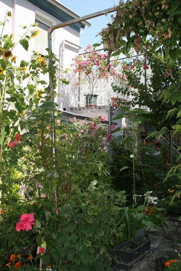 Gîte pour 3 personnes, avec jardin et vue à Worms (Allemagne)