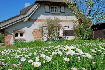 Bauernhof für 4 Personen, mit Pool und Sauna sowie Terrasse und Garten, mit Haustier in Sellin