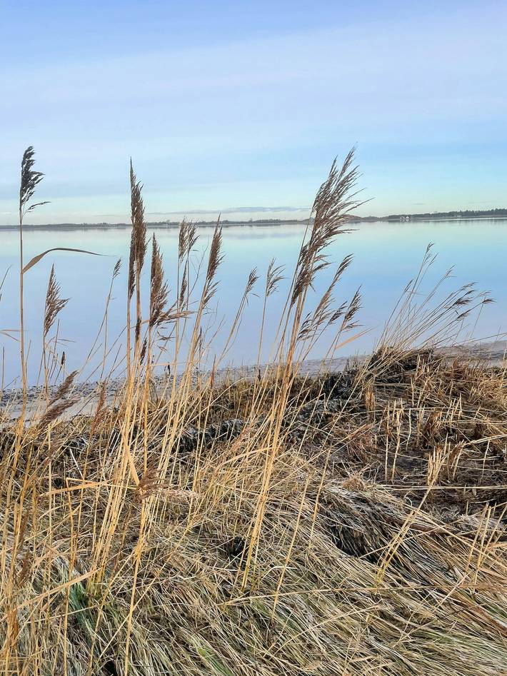 Ferienhaus für 4 Personen, mit Terrasse in Himmerland - 4