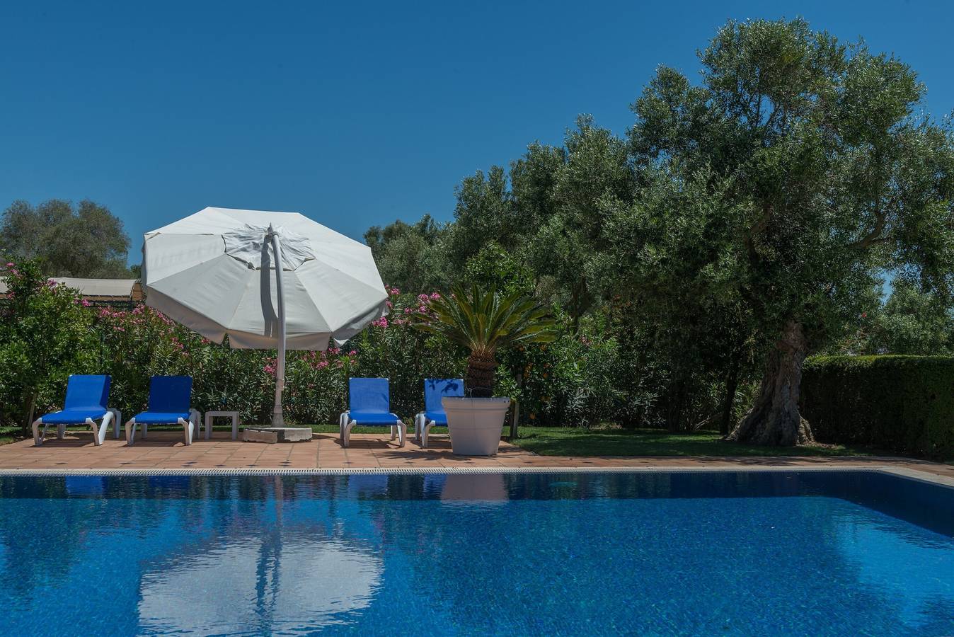 "Villa Orquidea" con piscina, Wi-Fi, jardín y terraza in Benalup-Casas Viejas, Costa de la Luz