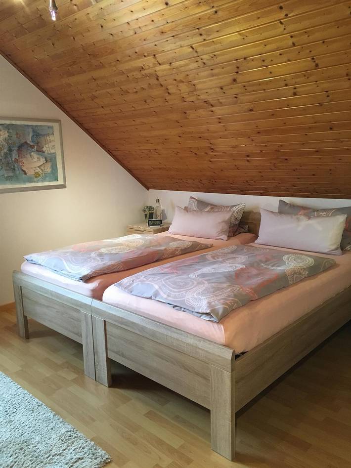 Apartamento vacacional entero, Apartment, shower, toilet, 2 bed rooms in Pirmasens, Landkreis Südwestpfalz