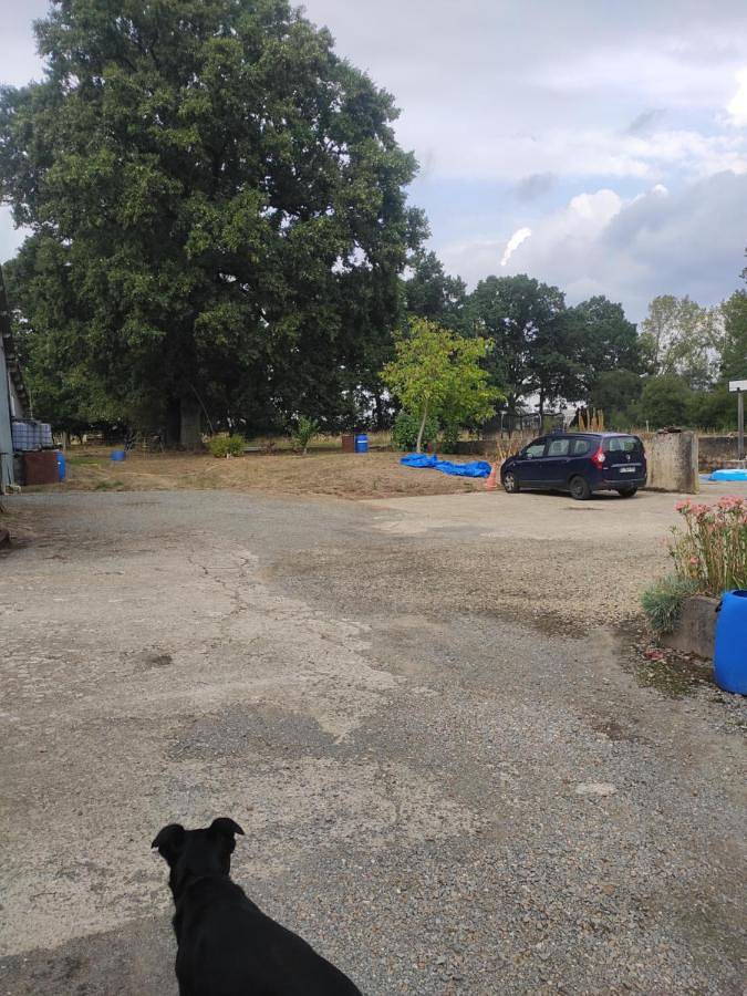 Location de vacances pour 2 personnes, avec jardin dans Plan D Eau De La Cantache - 2