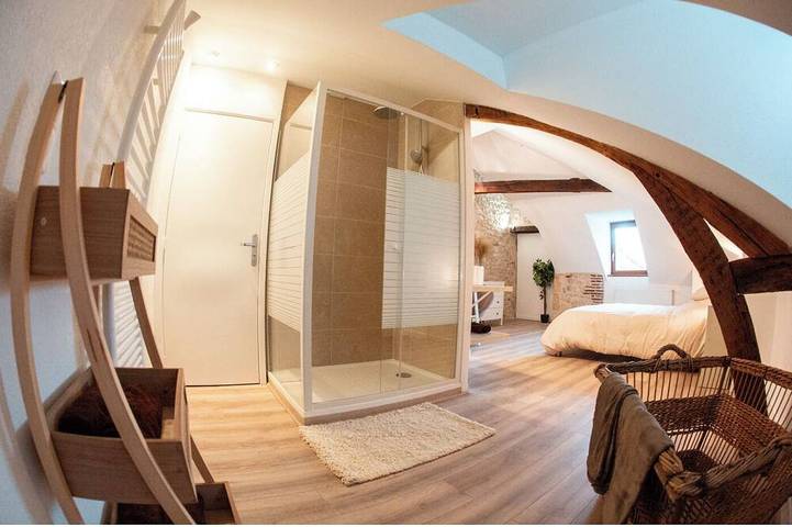 Gîte pour 7 personnes, animaux acceptés dans Restaurant Gastronomique Le Lievre Gourmand Orleans - 2